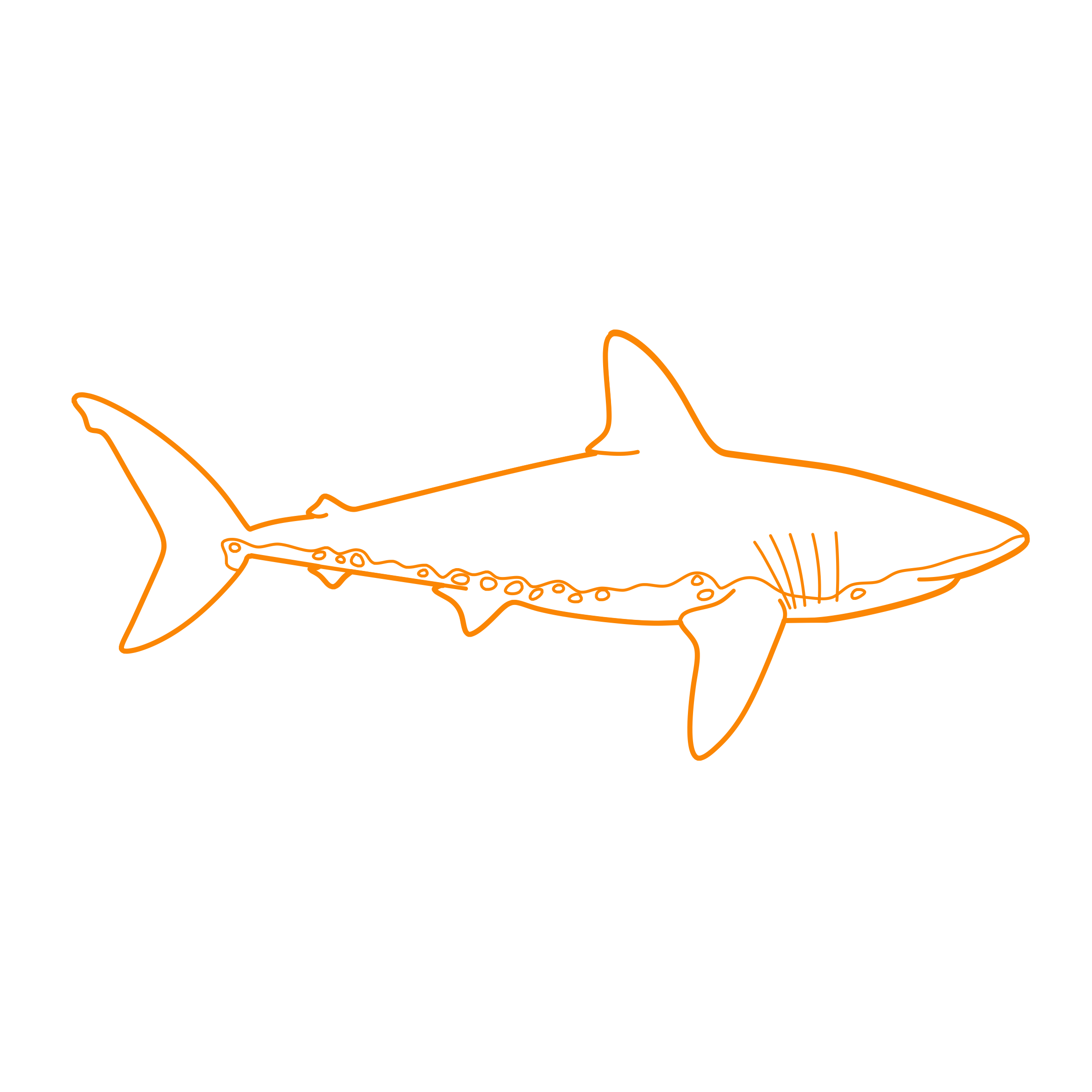Animals Sharks Salmon Shark Sketch Style Svg Vector Free Vectors
